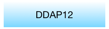 DDAP12