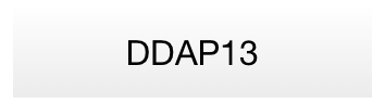 DDAP13